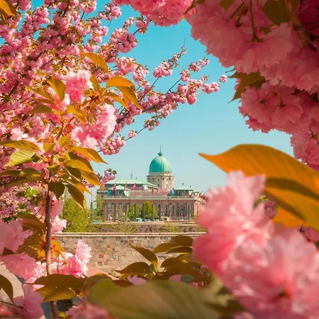 W33 - Prime Location - Comfortable Quality By Bqa *